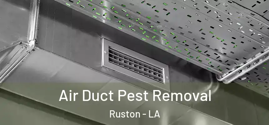  Air Duct Pest Removal Ruston - LA
