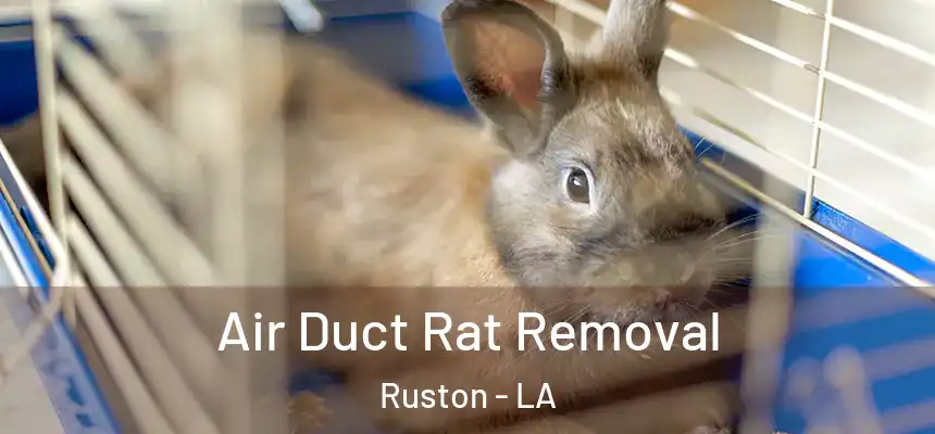 Air Duct Rat Removal Ruston - LA