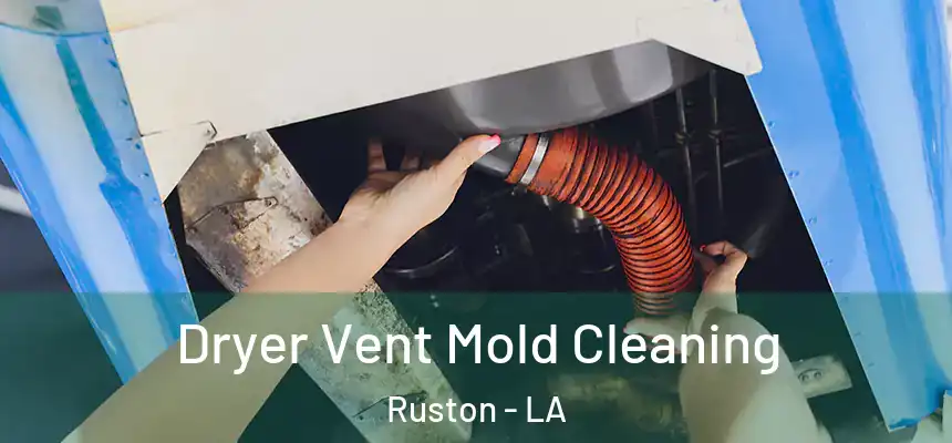  Dryer Vent Mold Cleaning Ruston - LA