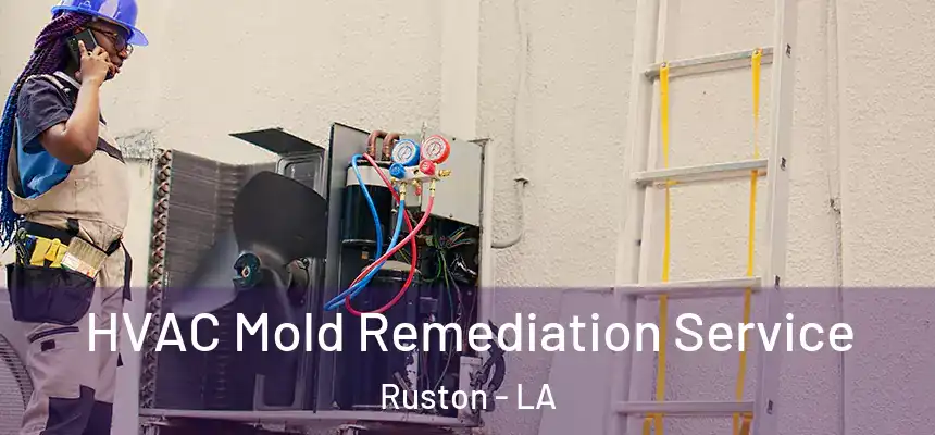  HVAC Mold Remediation Service Ruston - LA