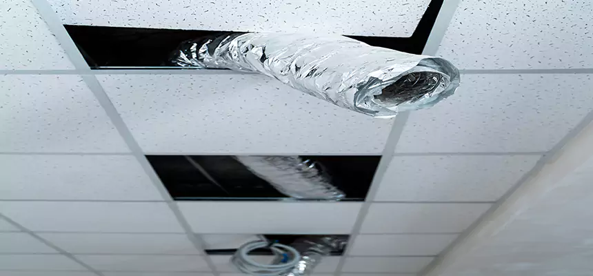 Our Air Duct Pet Hair Removal Services in Ruston, LA