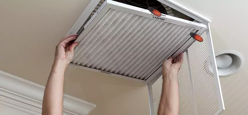 Our Insect Removal from Air Ducts Services in Ruston, LA