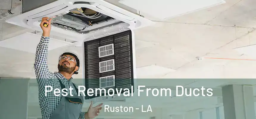  Pest Removal From Ducts Ruston - LA