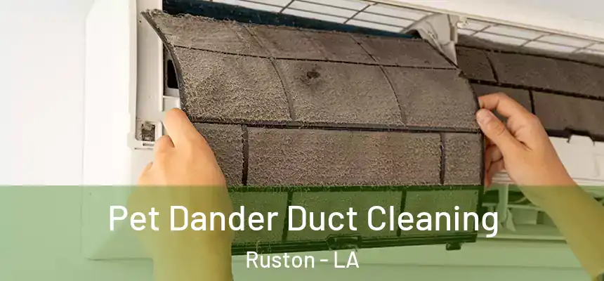 Pet Dander Duct Cleaning Ruston - LA