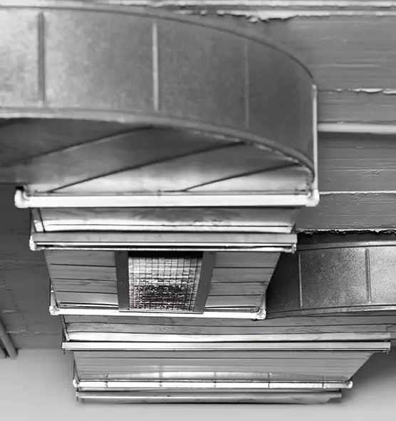 Professional Air Duct Pest Removal in Ruston, LA