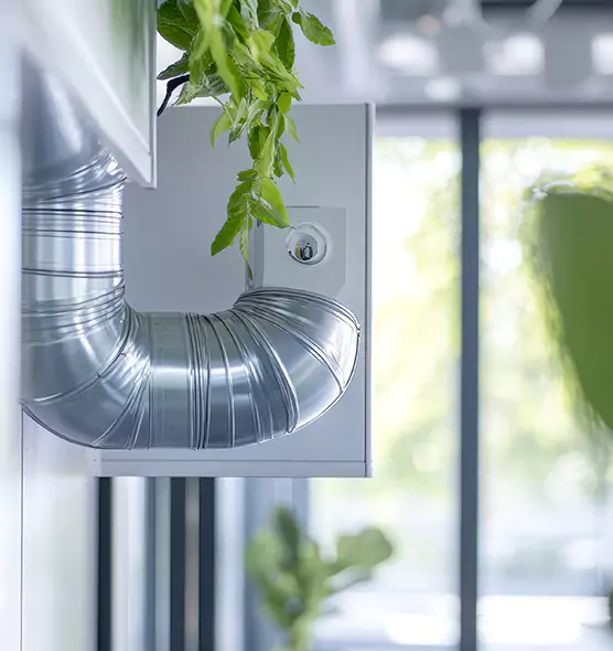 Professional Eco-Safe Dryer Vent Cleaning in Ruston, LA