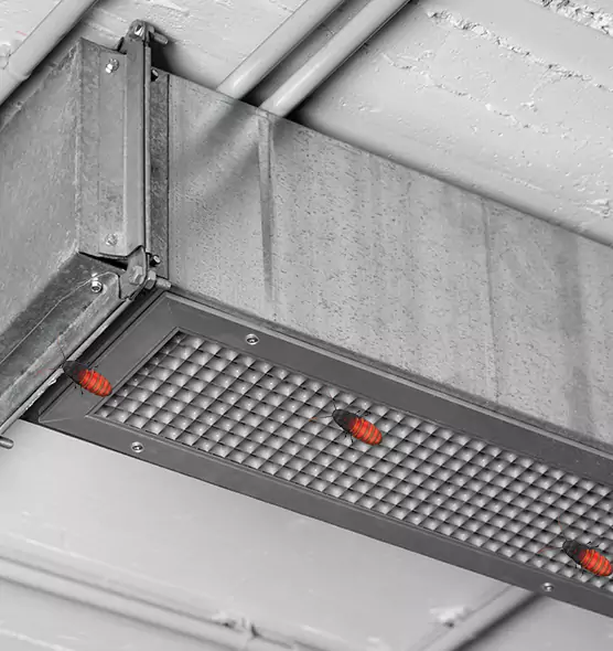 Affordable Insect Removal from Air Ducts in Ruston, LA