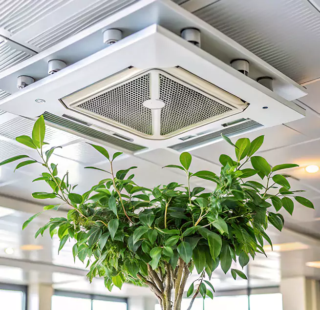 Why Homeowners & Businesses Trust Us in Ruston, LA?