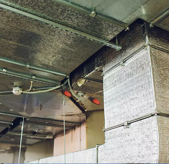 Why Homeowners & Businesses Trust Us Ruston, LA?