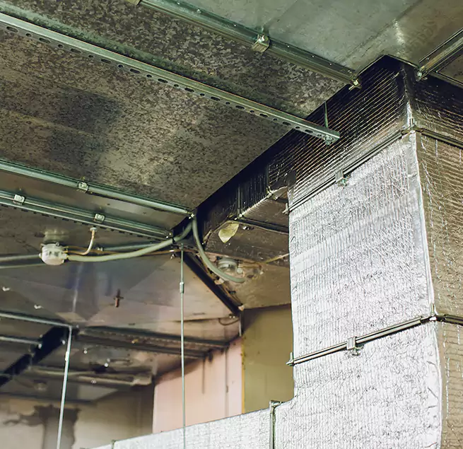 Why Homeowners & Businesses Trust Us in Ruston, LA?